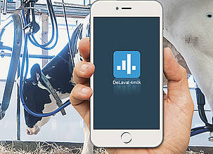 Die App DeLaval 4milk ermöglicht auch im Anbindestall schnellen Zugriff auf die Melkdaten.