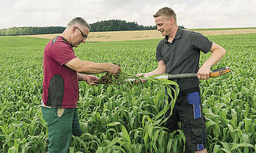 Der Spaten ist immer dabei. Bodenkontrollen gehören für Geschäftsführer Heiko Hölzel (links) und Pflanzenbauchef Phillip Weinitzke zur Arbeitsroutine.