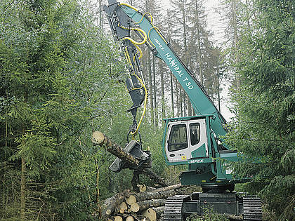 Der Hannibal T50 von Impex – ein Großharvester, entnimmt Starkbäume stehend aus dem Bestand und legt sie an anderer Stelle kontrolliert ab.