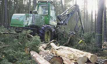 Ist eine Holzerntemaschine wie ein Harvester im Schwachholz nicht optimal ausgelastet, kann es zu höheren Treibhausgas-Emissionen je Erntefestmeter kommen.