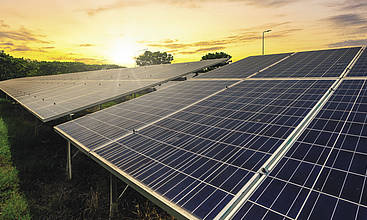 Agri-Photovoltaikanlagen könnten als Pilotprojekt im Sonderkulturenanbau als Schutzeinrichtung getestet werden.