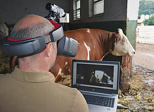 Mit der Kuhbrille wird die visuelle Wahrnehmung der Rinder simuliert.