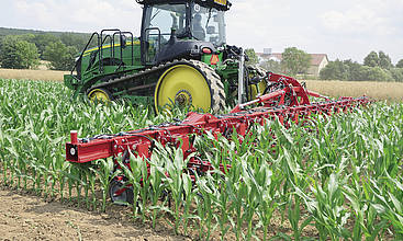 Auf rund 2,72 Mio. Hektar wächst in diesem Jahr Mais heran.