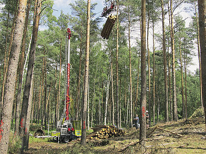 FNR: Holztransport ohne Bodenkontakt