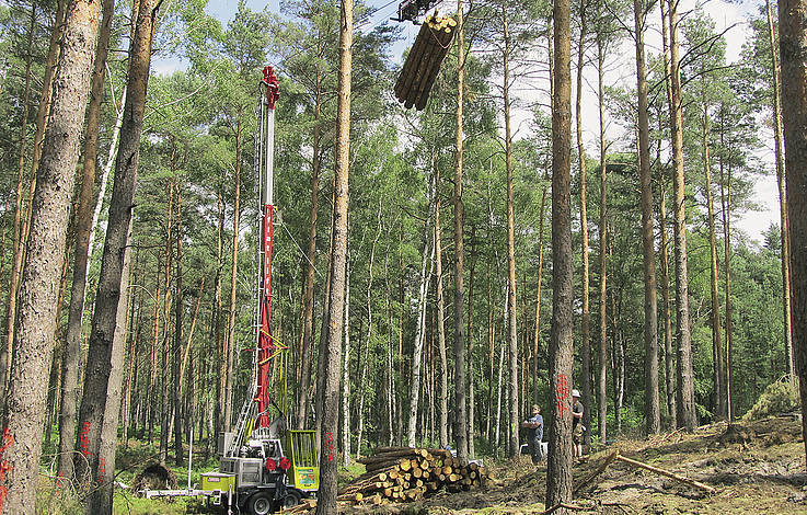 Der Adler Flachlandseilkran transportiert Holz bis zu sechs Meter Länge.