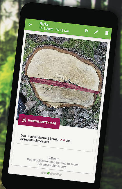 Digitalisierung: Mehr Sicherheit bei der Baumfällung