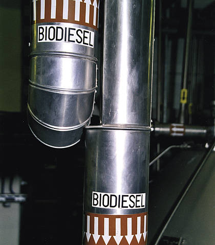 Ölsaaten: Absatzmöglichkeiten für reinen Biodiesel schwinden