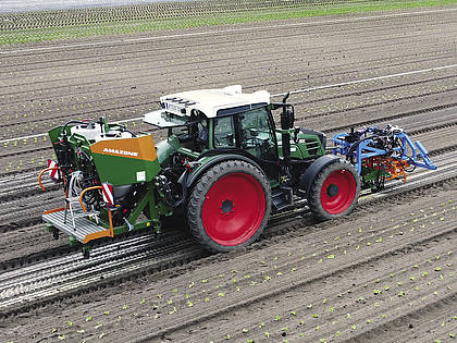 Ein umweltschonendes Mulchverfahren für den Gemüseanbau wird als Alternative zum Einsatz von Herbiziden entwickelt.