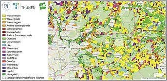 Kartenausschnitt mit einer Übersicht der landwirtschaftlichen Nutzung der Agrarflächen östlich von Braunschweig 2019.
