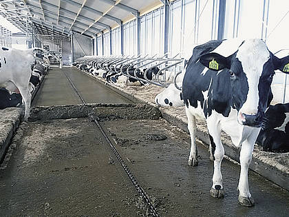 Für rund 150.000 Euro will JOZ eine N-Abscheidungsanlage für Milchviehbetriebe mit bis zu 350 Kühen anbieten.
