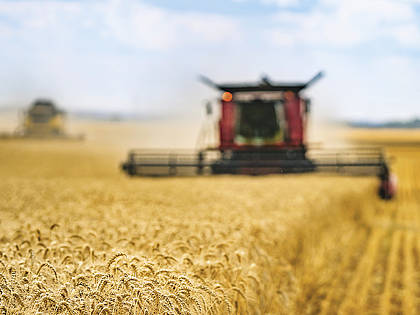 Der Bauernverband geht 2021 von durchschnittlichen Ernteergebnissen aus.
