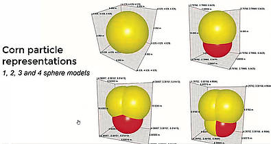 Über mehrere Schritte entstehen die typischen Konturen eines Getreidekorns für die 3D-Visualisierung.