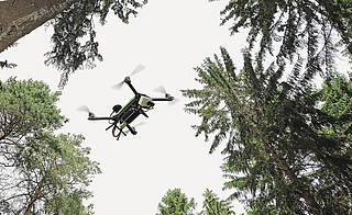 Ausgerüstet mit Multispektralkameras können Drohnen vom Borkenkäfer befallene Bäume identifizieren, mehrere Wochen bevor dies an der Verfärbung der Nadeln sichtbar wird.
