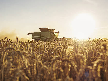 Der Produktionswert des bundesdeutschen Getreideanbaus stieg um 46,7 Prozent auf 12,8 Mrd. Euro.
