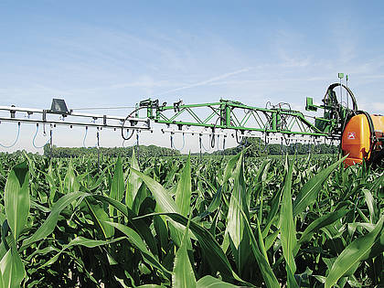 Unterblattspritzung im Mais: Die robusten Kunststoff-Schlepprohre können quer zum Reihenverlauf frei und pflanzenschonend pendeln.