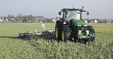 Einarbeitung von Zwischenfrüchten mit der Kelly Kettenscheibenegge auf einem Feld des Landwirtschaftsbetriebs Kitzscher GmbH.