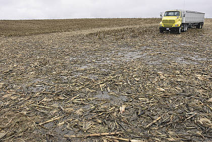 Maisanbau: US-Farmer: Endet der Biosprit-Boom?