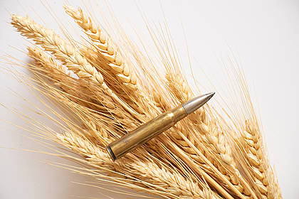 Analyse: Zu wenig Weizen für die Welt