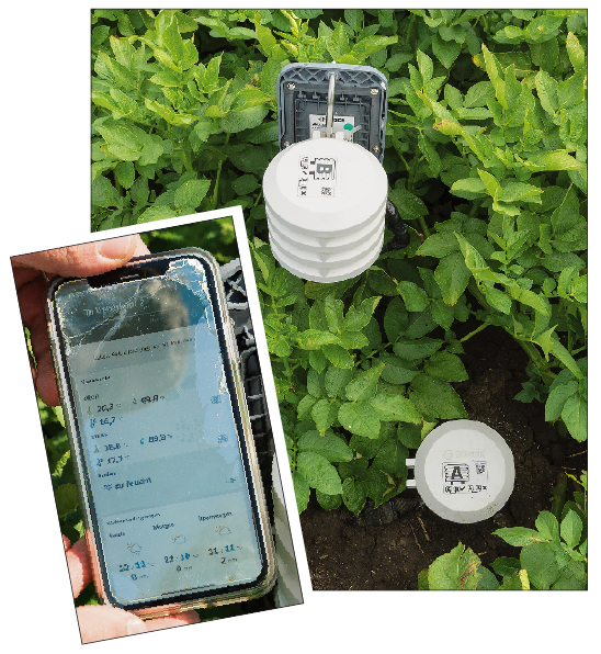 Messfühler für Temperatur und Luftfeuchtigkeit bei der Feldüberwachung Deepfield Connect von Bosch. Ein weiterer Sensor misst die Bodenfeuchtigkeit unter der Mutterknolle.
