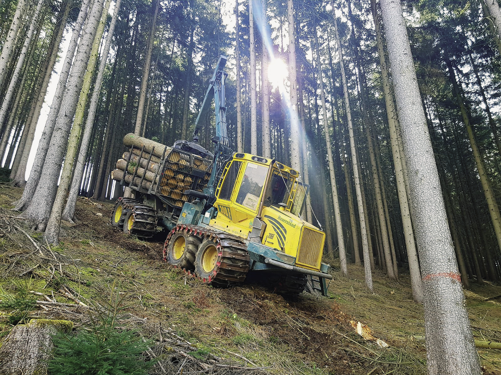 Das Rücken von Holz an steilen Hängen gehört zu den Dienstleistungen der Land und Forst GmbH Hillig.
